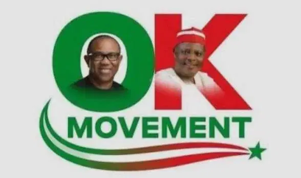Presidential Campaign Council: ‘We don’t need your validation’ – OK Movement tells NDC - Vanguard News