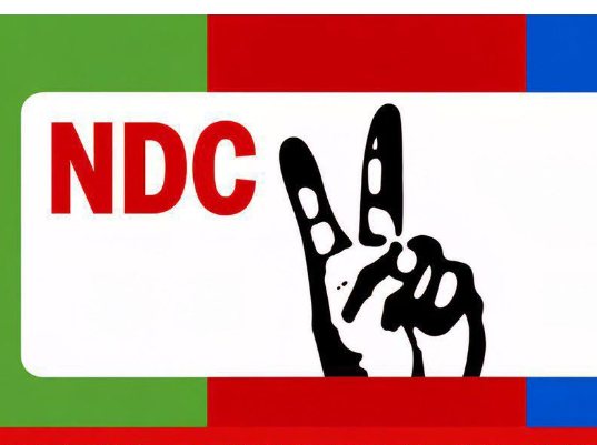 NDC condemns attack, obstruction of Peter Obi in Benue