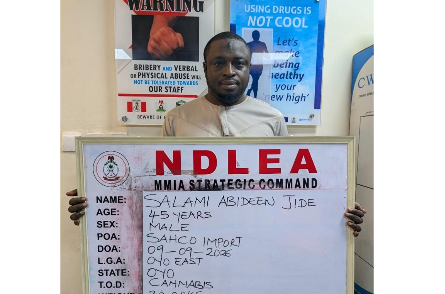 NDLEA saisit 2,3 tonnes de drogues illicites