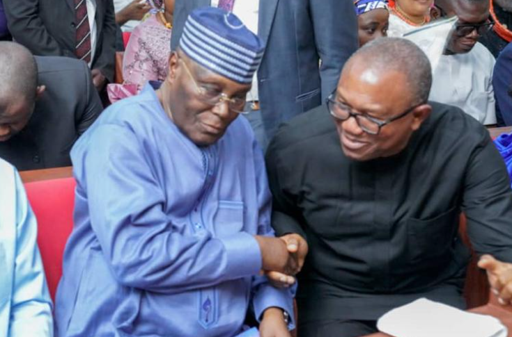2027: Be realistic ​‌‍‍‍‍⁠⁠‍​‌⁠‍​​⁠‍‌​in campaign promises, APC chieftain tells Atiku, Obi