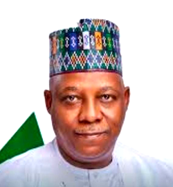 60th Birthday: Gwarzo hails Shettima’s leadership record