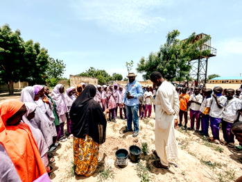 Bauchi farmers turn degraded land into fruit forests