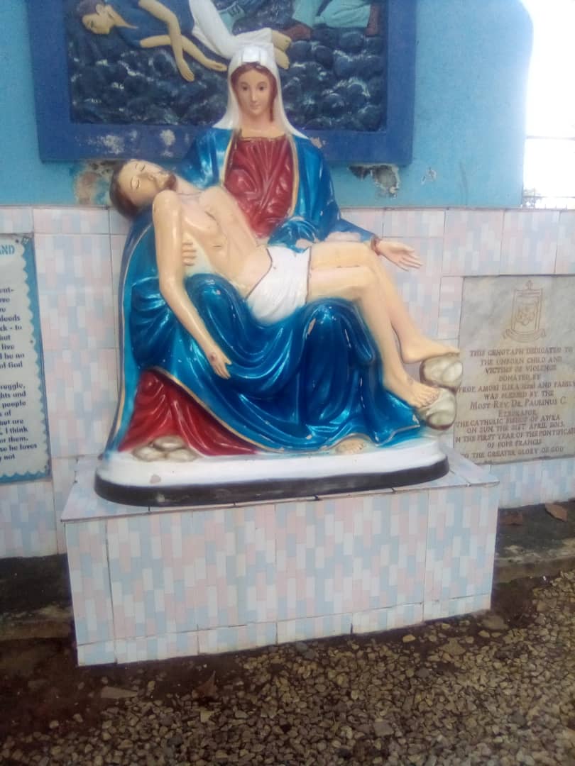 ‘Mary Leads Us to Jesus’ — Ozigbo