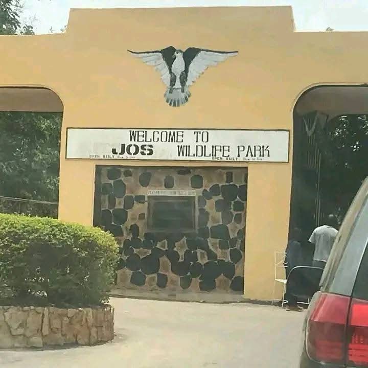 Mutilated corpse of woman found in Jos forest reserve