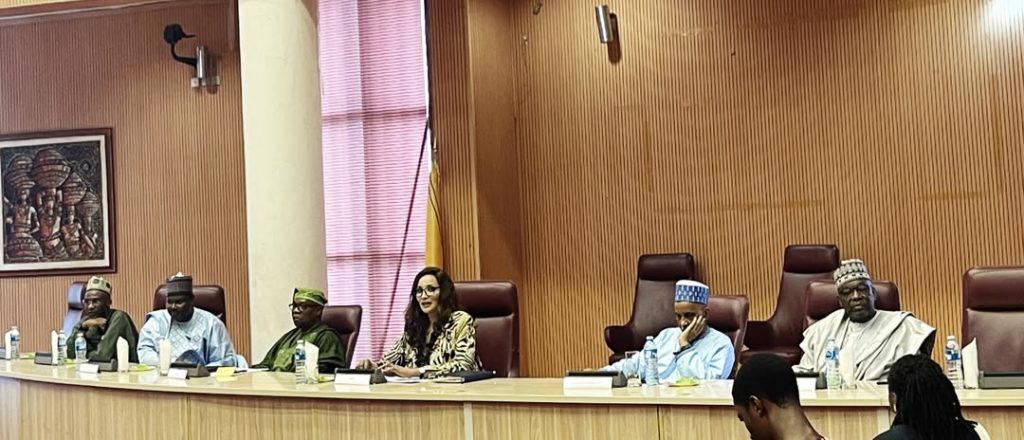 Foreign missions urged to review long visa processes