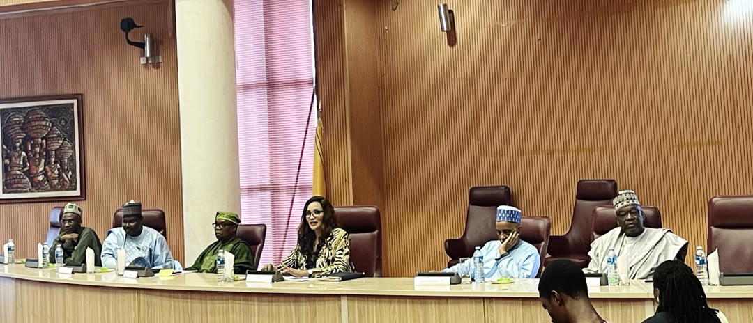 Foreign missions urged to review long visa processes