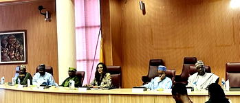 Foreign missions urged to review long visa processes