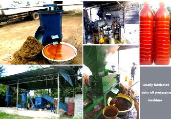 Lagos alerts residents over adulterated palm oil