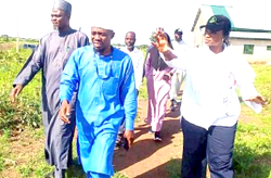 Varsity partners state govt on livestock feeds production
