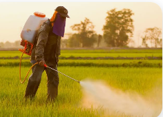 Nigeria ranks 2nd in acute pesticide poisoning in West Africa — Study