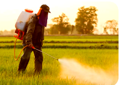 Nigeria ranks 2nd in acute pesticide poisoning in West Africa — Study