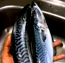 Nigerians turn to cheaper protein alternatives as Titus price surges