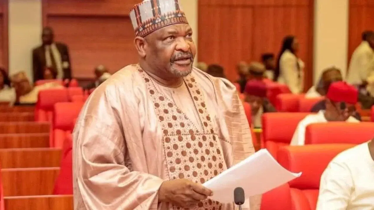 ‘He slipped, knocked head in bathroom’ – Ningi recounts Senator Mandiya’s death Image