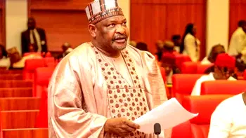 ‘He slipped, knocked head in bathroom’ – Ningi recounts Senator Mandiya’s death