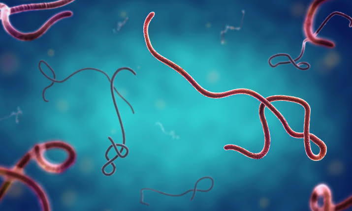 Ebola: Ogun steps up surveillance, says no case recorded in the state