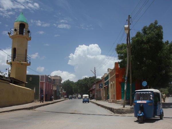 2 African countries that were never colonised