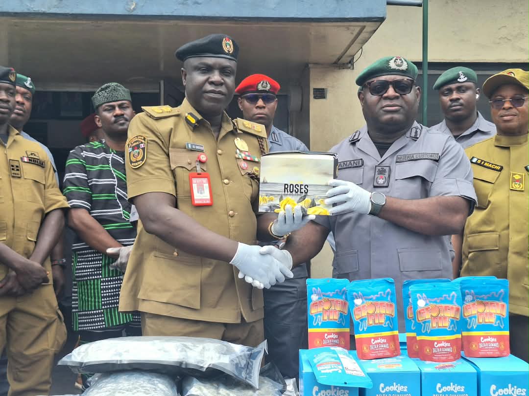 Customs uncovers ₦3.67bn drug haul in imported cars, spare parts
