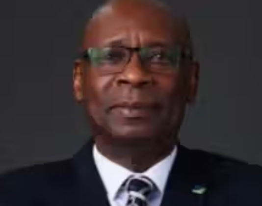 Large foreign reserves don’t mean Nigeria is better off — Chike-Obi