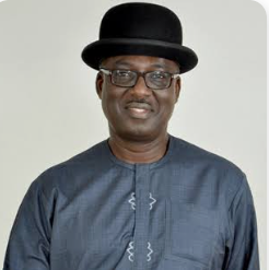 2027: Nwuche backs Wike, Tinubu, criticises Amaechi