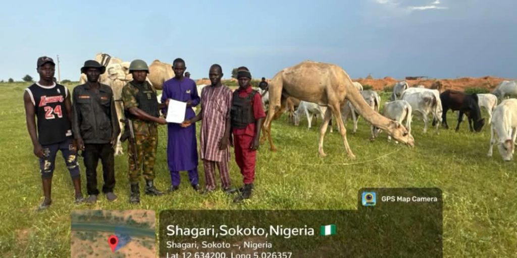 Troops rescue five abducted women, recover rustled livestock in Sokoto, Katsina