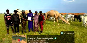 Troops rescue five abducted women, recover rustled livestock in Sokoto, Katsina