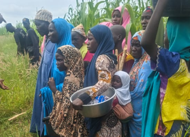 Katsina traditional rulers hail military, DSS for foiling another mass abduction